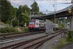 K�nstlerleinwand und Blaumilchkanal...