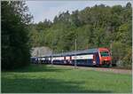 763-singen-erzingen-hochrheinbahn-db3/790239/deutsche-gleise-und-fahrleitung-aber-die Deutsche Gleise und Fahrleitung, aber die S24 wird nicht bis nach Deutschland fahren, sondern in Kürze in Thayngen enden. 

30. August 2022