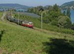 Am 07.06.2014 ist bei Mammern Re 4/4 I 10034 mit einem Sonderzug von Basel über Zürich und Stein am Rhein nach Konstanz unterwegs.