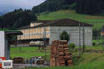 Die St.Galler S-Bahn Linie S9 (Wil - Wattwil): Zoom-Bild des restaurierten Wagens 101 der Sensetalbahn.