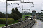 870-romanshorn-st-gallen-btsob/769910/an-der-ehemaligen-bt-strecke-romanshorn-- An der ehemaligen BT-Strecke Romanshorn - St.Gallen: Einfahrt des Thurbo GTW 2/8 796 in Muolen. 7.Oktober 2021 