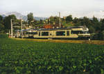 MVR/CEV: Trotz modernen Triebzügen, bereits historische Aufnahmen, entstanden 1999 oberhalb Vevey.