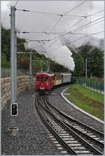 Kurz darauf erschien dann auch schon der Blonay-Chamby  Riviera Belle Epoque  Zug mit der G 3/3 N° 5 und dem schiebenden RhB ABe 4/4 35, der ohne Halt in St-Légier Gare durch fuhr.

27. September 2020