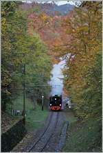  LA DER 2020 du Blonay-Chamby  / Saison Abschluss der Blonay-Chamby Bahn: Mit einem verstärkten Fahrplan und viel Dampf wird vor dem  Winterschlaf  (bzw.