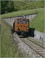 Nostalgie & Vapeur 2021  /  Nostalgie & Dampf 2021  - so das Thema des Pfingstfestivals der Blonay-Chamby Bahn. Die Bernina Bahn RhB Ge 4/4 81 der Blonay-Chamby Bahn verlässt den 45 Meter langen Tunnel Cornaux, welcher die Strecke von der Baye de Clarens kommend wieder auf die aussichtsreiche Seite der Riviera Vaudoise führt. 

23. Mai 2021