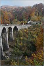 La DER 2021 (Saison Abschluss 2021) Vor dem Hintergrund eines prächtig gefärbten Herbstwaldes fährt die Blonay Chamby G 2x 2/2 105 über den Baye de Clarens Viadukt in Richtung Blonay.

30. Okt. 2021