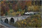 La DER 2021 (Saison Abschluss 2021) Vor dem Hintergrund eines prächtig gefärbten Herbstwaldes fährt die Blonay Chamby G 2x 2/2 105 über den Baye de Clarens Viadukt in Richtung Blonay. 

30. Okt. 2021