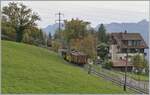  La DER de la Saison 2023  - Bei Cornaux fährt die Bernina Bahn RhB Ge 4/4 81 der Blonay-Chamby Bahn mit dem  Velours -Express  von Chaulin nach Vevey bei der Haltestelle Cornaux durch. 

29. Okt. 2023 