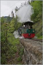 Festival Suisse de la vapeur (Schweizer Dampffestival 2023) - Die beiden kleinen Dampfloks G 2/2 N° 4  Rimini  und G 3/3 N° 5 mühen sich kurz nach Chaulin mit einem Zug in Richtung Chamby ab. 24. Mai 2023