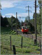 Autour de la voie ferrée / Rund um die eiserne Bahn (Herbstevent 2024) -  Der kleine Star des Tages die Dm 2/2 N° 3  Le Biniou  des Réseau Breton (RB) ist auf der Fahrt von Chaulin nach Blonay und erreicht Cornaux. 

7. Sept. 2024