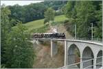 Festival Suisse de la vapeur (Schweizer Dampffestival 2025) - Die SEG G 2x 2/2 105 mit einen Dampfzug auf der Fahrt von Blonay nach Chaulin auf dem Baye de Clarens Viadukt unterwegs. Das Bild zeigt eindrücklich die bei der Sanierung des Baye de Clarens Viaduktes erfolgte Rodung. Oberhalb der Lok, beim Baum, entstanden die Bilder der Gegenrichtung. 

8. Juni 2025