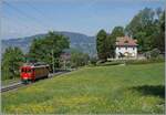 Die Saison 2026 der Blonay Chamby Bahn ist eröffnet: Bei Chaulin mit einer herrlich blühenden Wiese ist der Bernina Bahn RhB ABe 4/4 I N° 35 der Blonay Chamby Bahn auf der Fahrt von