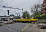120-montreux-zweisimmen-lenk-im-simmental/706681/die-gde-44-6004-rangiert-einen Die GDe 4/4 6004 rangiert einen augenscheinlich neuen TPF Güterwagen in Chernex.

24. Juli 2020