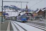 Die MOB Ge 4/4 8001 hält mit dem GolenPass Express GPX 4068 von Montreux kommend in Zweismmen. Der Zug ist umgespurt. 

15. Dez. 2022