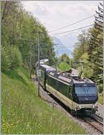 Der MOB GPX 4065 von Zweisimmen nach Montreux mit der schiebenden Ge 4/4 8004 verlässt Chamby in Richtung Montreux.