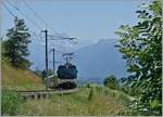 Die MOB Ge 4/4 8002 ist mit ihrem vierteiligen GPX 4078 von Montreux nach Zweisimmen unterwegs und fährt durch die Weinberge bei Planchamps.

24. Juni 2023