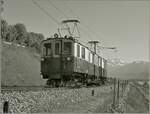 Der am 6. Aug. 1924 in Betrieb genommen MOB CFZe 4/4 28, später BDe 4/4 und nun De 4/4 28 bei Planchamp auf der Fahrt nach Chernex. 
Ich zeige hier die S/W Variante. Das farbige Bild ist schon seit einiger Zeit auf diesr Seite zu sehen.

10. Mai 2007