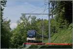 Da die GPX Z�ge jeweils mit der Lok in Richtung Zweisimmen verkehren, war ich oberhalb von Chamby auf der Suche nach einer Fotostelle und fand bei Kilometer 8.2 eine interessante Stelle mit der