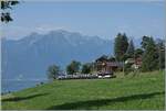 Bei Les Avants sind zwei MOB ABe 4/4 (Be 4/4)  Alpina  Serie 9000 mit dem MOB Belle Epoque Express auf der Fahrt von Montreux nach Les Avants. 

15. Juni 2025

