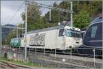 Kein  sch�nes  Bild aber die einzige M�glichkeit die Ge 4/4 8004 (im Hintergrund) und die Ge 4/4 8002 auf dem gleichen Bild zu sehen. 
Das Bild entstand in Chamby beim Umsteigen von Zweisimmen nach Blonay. 

17. Okt. 2026