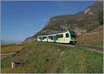 Der TPC ASD ABe 4/8 471 ist in den Weinbergen oberhalb von Aigle auf dem Weg nach Aigle.