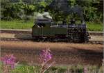 Schon lange wurde an ihr gearbeitet, ab nchstem Jahr bei der DFB dabei, die Vietnamesin HG 4/4 704.