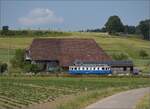 Das Blaue Bähnli BDe 4/4 36 fernab der Heimat am Löffelhof beim Bahnhof Lohn-Lüterkofen. Juni 2023.