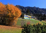Im Flachland ist es neblig, doch die Wengeralpbahn fährt in die Sonne. Oberhalb Wengen, Zug mit den beiden Panorama-Triebwagen 147 und 148 und dem Gelenksteuerwagen 254. 7.November 2020 