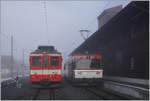 Der MIB (?) und ex CJ BDe 4/4 11 und der Zentralbahn Be 125 008 stehen in Innertkirchen.