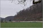 Zwischen Lampenberg Ramlinsburg und Talhaus zeigt sich ein nach Liestal fahrender Waldenburger Zug. 

21. M�rz 2021