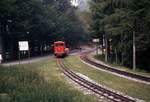 636-capolago-generoso/539387/ferrovia-monte-generoso-noch-mit-dieselbetrieb Ferrovia Monte Generoso noch mit Dieselbetrieb: Lokomotive Hm2/3 1, Bellavista, 23.Juli 1970 