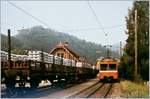 Ein WSB Reionalzug nach Aarau hat den Bahnhof Gränichen erreicht, wo bereits die De 4/4 mit ihrem Güterzug auf den Weiterfahrt nach Menziken wartet.

4. Sept. 1984