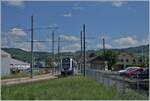 644-aarau-menziken-wynentalbahn/783968/der-aar-abe-412-73-saphir Der AAR ABe 4/12 73 'Saphir' ist in Gontenschwil angekommen und wartet auf seinen Gegenzug. 

14. Mai 2022