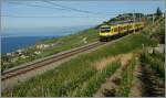 Der gelbe  Train des Vignes  bei Chexbres.