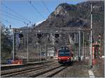 Zwei Domino Regio-Alps Triebzüge auf dem Weg nach Domodossola bei der Durchfahrt in Varzo.