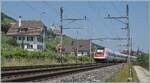 Bei Schafis, nahe bei Ligerz gelegen, aber zu La Neuville geh�rend, endet bei Kilometer 93.6 von Westen her die Doppelspur. Im Bild ein SBB RABDe 500 auf dem Weg in Richtung Biel/Bienne der auf die Einspurstrecke �bergeht. 

19. Juni 2025