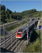 Ein ICN RABe 502 von Solothurn kommnend erreicht in Wanzwil (Dienst- und Abzweigstation) die NBS Mattstetten - Rothrist. 

12. Sept. 2022 