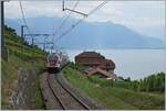 rabe-511-kiss/761394/unter-dem-titel-sommerfahrplan-wurde-dem Unter dem Titel 'Sommerfahrplan' wurde dem Publikum einschneidende Betriebsbeschränkungen schmackhaft gemacht, eine davon betraf die komplette Streckenerneuerung Puidoux - Lausanne auf der wichtigen Hauptstrecke Lausanne - Bern, so dass ein Ersatzkonzept mit Züge via 'Train de Vignes' Strecke angeboten wurde. Die Züge Genève - Vevey - Fribourg wurden von KISS RABE 511 gefahren. 

Ein SBB RABe 511 kurz vor Chexbres Village auf der Fahrt nach Fribourg. 

10. Juli 2018