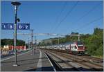 In Mies ist ein RE bestehend aus dem führenden RABe 511 105 auf dem Weg in Richtung Lausanne.