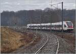 Durch die Neugestaltung des Fahrplans im Jura ab dem Fahrplanwechsel 2025 verliert Meroux die direkten RE 56 Z�ge von und nach Biel/Bienne. Im Bild einer der letzten RE 56 in Form des SBB RABe 522 206 bei der Einfahrt in Meroux.

10. Dez. 2025 