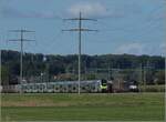 Vectron 193 718 der MRCE begegnet RABe 515 019 und RABe 515 038 bei Bollodingen. September 2022.