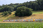 Sommerbild: Der BLS MUTZ 515 008 mit Werbung für Postfinance, Kehrsatz Nord.