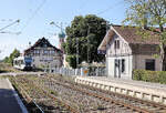 Die Seehas-Linie und ihre Vielfalt: Und jetzt kommt noch ein Thurbo GTW (Nr.728) unterwegs nach Schaffhausen. Allensbach, 14.August 2026 