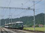 Aus der Ostschweiz erreicht der der VH MThB Extrazug sein Ziel Sumiswald Gr�nen, wobei besonders der sch�n restaurierte  EAV -Triebwagen. Interessanterweise sind die doch recht bekannten Triebwagen mit nur 12 Einheiten zahlenm�ssig recht bescheiden, waren jedoch bei verschieden Bahngesellschaften in der ganzen Schweiz im Einsatz (MThB (5), WM (2) ,GFM (1), MO (3) und RVT (1) im Einsatz, und kamen als Seehas sogar bis Engen in Baden-W�rttemberg.
Im Bild ist der (ex) MThB ABDe 4/4 12  Weinfelden  zu sehen, welcher vom Verein Historische MThB Schweiz Weit eingesetzt werden kann. 

14. Juni 2025
