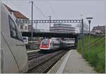 In Grenchen Nord kreuzen sich die ICN von Basel nach Biel mit dem Gegenzug.