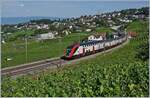 Zwei SBB RABDe 502  Twidexx  sind bei Bossière als IC 1 von Genève nach St.Gallen unterwegs.