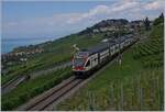 rabe-511-kiss/761393/unter-dem-titel-sommerfahrplan-wurde-dem Unter dem Titel 'Sommerfahrplan' wurde dem Publikum einschneidende Betriebsbeschränkungen schmackhaft gemacht, eine davon betraf die komplette Streckenerneuerung Puidoux - Lausanne auf der wichtigen Hauptstrecke Lausanne - Bern, so dass ein Ersatzkonzept mit Züge via 'Train de Vignes' Strecke angeboten wurde. Die Züge Genève - Vevey - Fribourg wurden von KISS RABE 511 gefahren. Der SBB RABe 511 105 kurz nach Chexbres Village auf der Fahrt nach Genève. 

10. Juli 2018