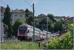 rabe-511-kiss/761396/unter-dem-titel-sommerfahrplan-wurde-dem Unter dem Titel 'Sommerfahrplan' wurde dem Publikum einschneidende Betriebsbeschränkungen schmackhaft gemacht, eine davon betraf die komplette Streckenerneuerung Puidoux - Lausanne auf der wichtigen Hauptstrecke Lausanne - Bern, so dass ein Ersatzkonzept mit Züge via 'Train de Vignes' Strecke angeboten wurde. Die Züge Genève - Vevey - Fribourg wurden von KISS RABE 511 gefahren. 

Der SBB RABe 511 019 erreicht Chexbres Village.

10. Juli 2018