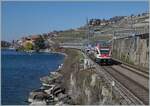 Der SBB RABe 511 020 ist im Umleitungsverkehr als RE bei Rivaz am Genfer See unterwegs.