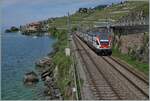 Der SBB RABe 511 103 ist als RE33 18467 von Annemasse nach Martigny kurz nach Rivaz unterwegs. 

19. Mai 2025